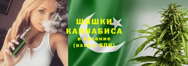 шишки Медногорск
