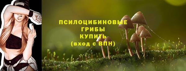 ГАЛЛЮЦИНОГЕННЫЕ ГРИБЫ Медвежьегорск
