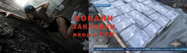 шишки Медногорск