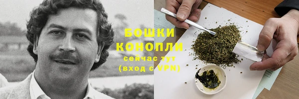 apvp Мегион