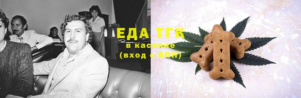 шишки Медногорск