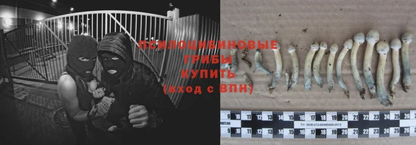 apvp Мегион