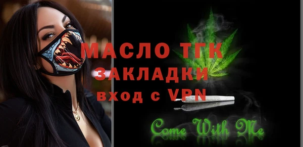 шишки Медногорск