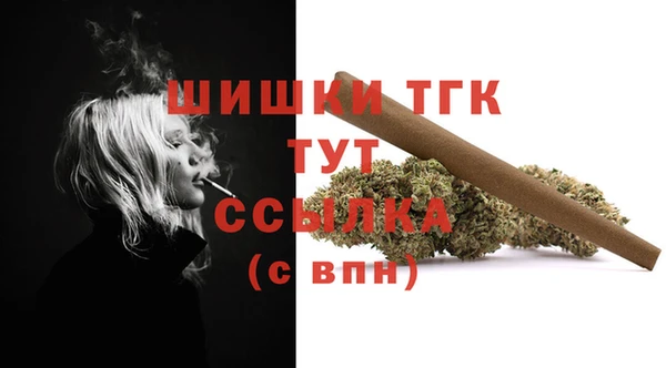 ГАЛЛЮЦИНОГЕННЫЕ ГРИБЫ Медвежьегорск
