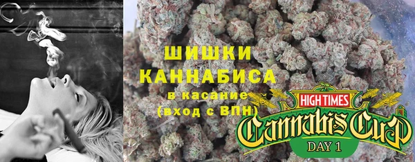 шишки Медногорск