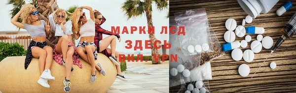 ГАЛЛЮЦИНОГЕННЫЕ ГРИБЫ Медвежьегорск
