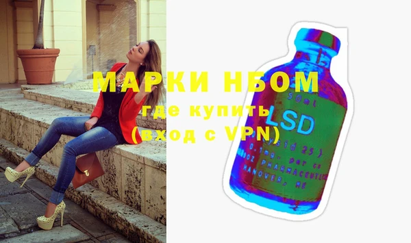 шишки Медногорск